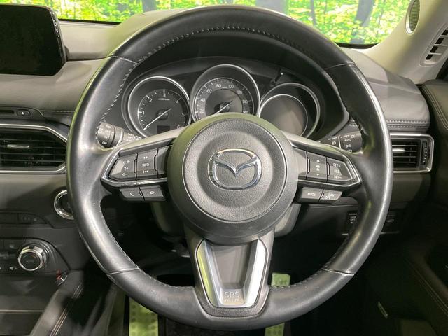 22995101_carP_l_6.jpg