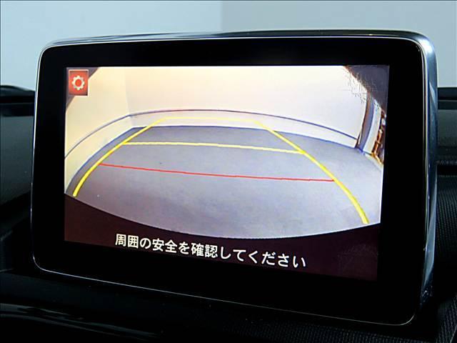 21116929_carP_l_11.jpg