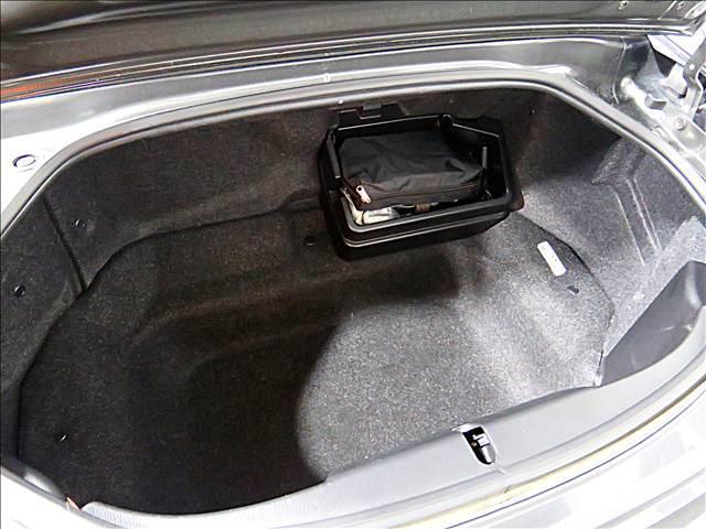 21116929_carP_l_18.jpg