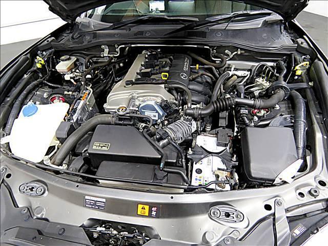 21116929_carP_l_20.jpg