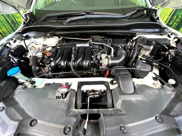 19476212_carP_l_16.jpg