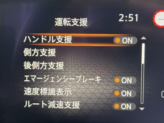 23294796_carP_l_8.jpg