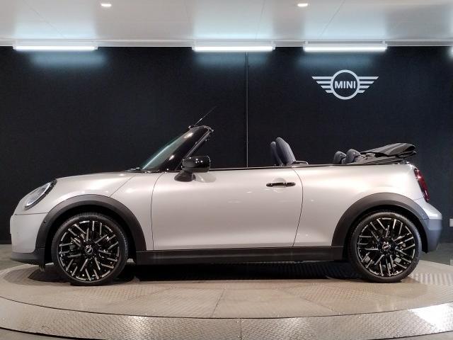 20295914_carP_l_2.jpg