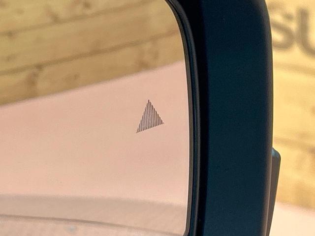 23015185_carP_l_13.jpg