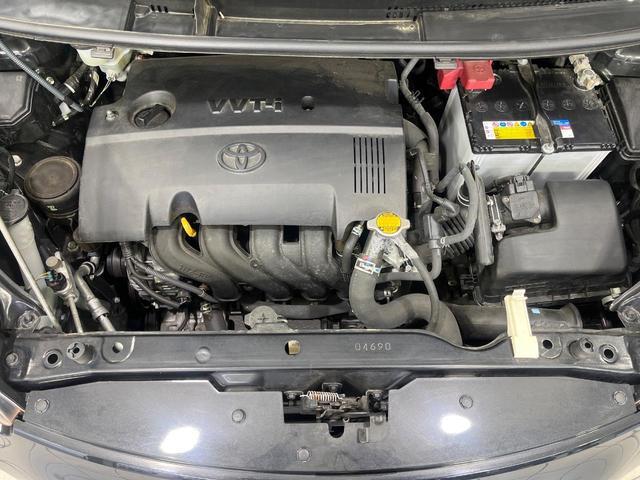 21708289_carP_l_18.jpg