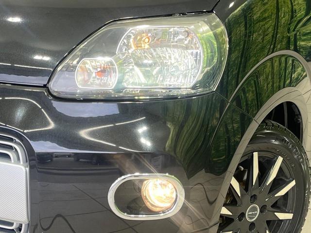 21708289_carP_l_7.jpg