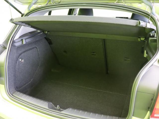 22366934_carP_l_6.jpg