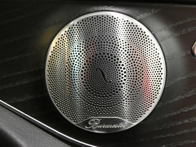 22039318_carP_l_9.jpg