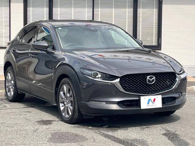 19659837_carP_l_12.jpg