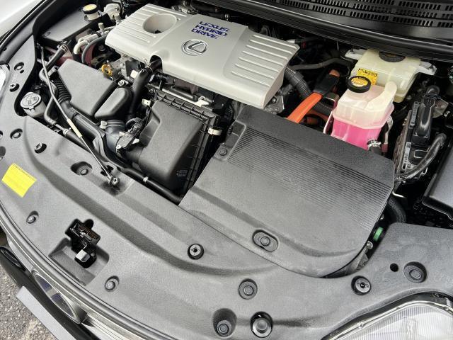 20832855_carP_l_14.jpg