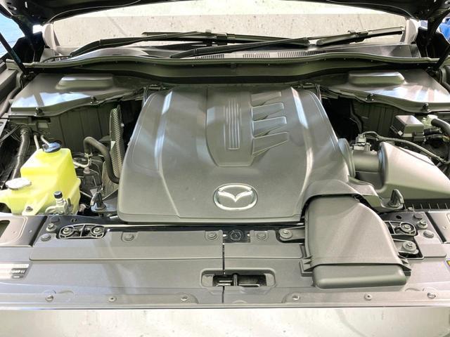 21095709_carP_l_16.jpg
