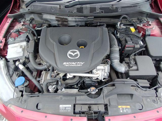 08.jpg