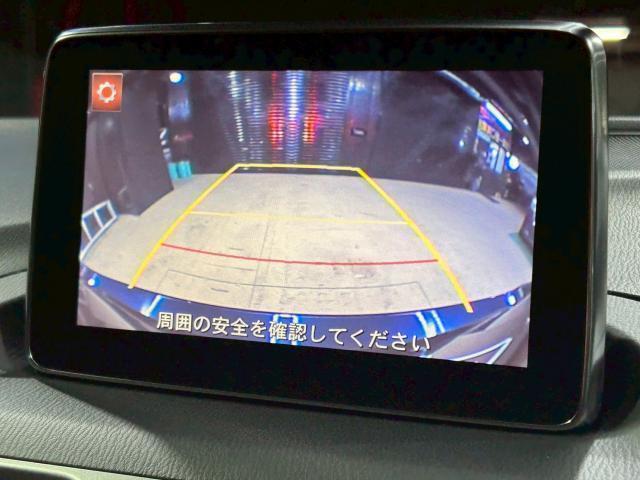22339773_carP_l_4.jpg