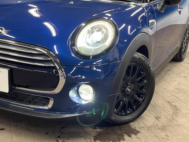 22057765_carP_l_7.jpg