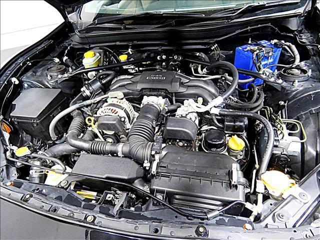16908702_carP_l_20.jpg
