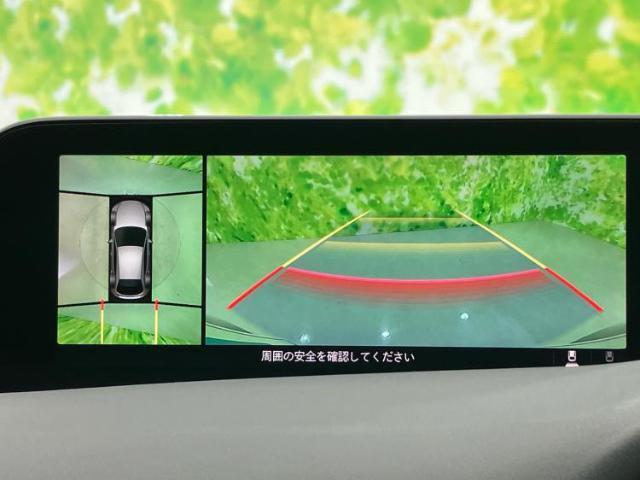 21223088_carP_l_6.jpg