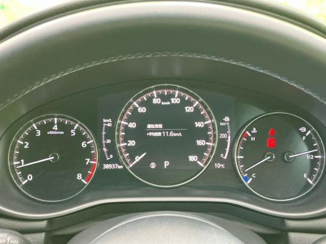 21223088_carP_l_8.jpg