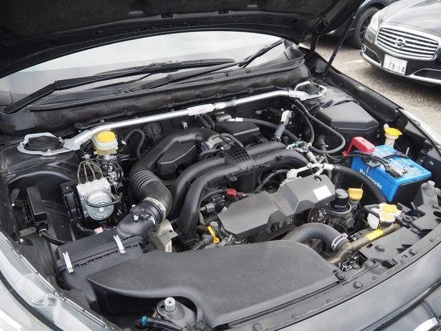 22733564_carP_l_20.jpg
