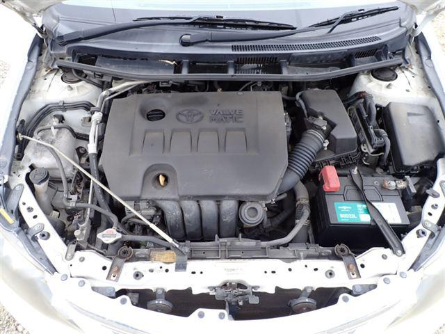08.jpg