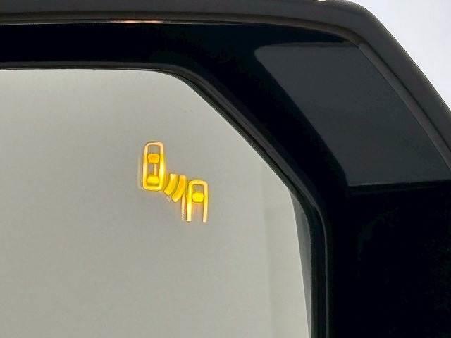 20690003_carP_l_17.jpg