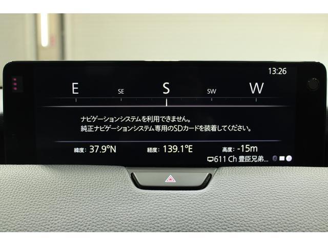 3000917A30260306W00302.jpg