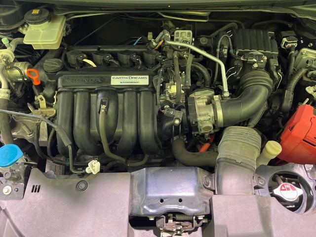 22975533_carP_l_16.jpg