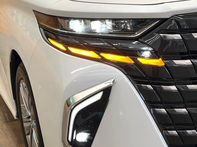 21289629_carP_l_7.jpg
