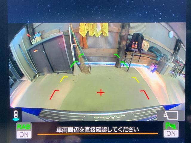 21873459_carP_l_9.jpg