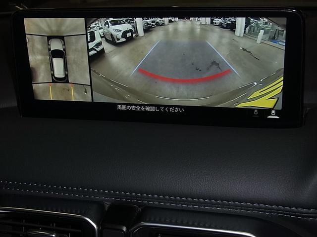 0500075A20260125K01714.jpg