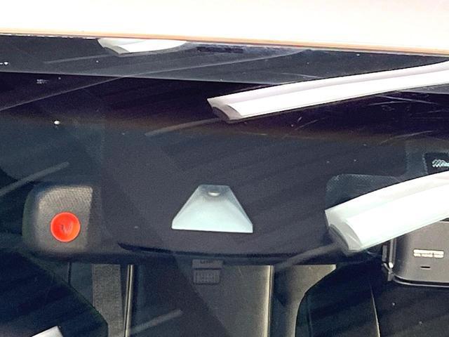21061556_carP_l_10.jpg