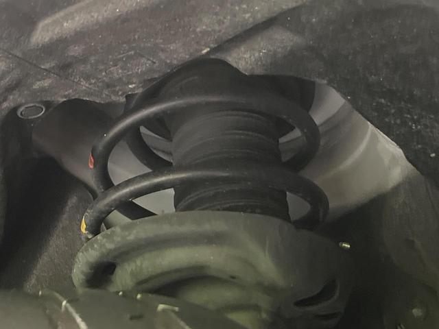 21343533_carP_l_20.jpg