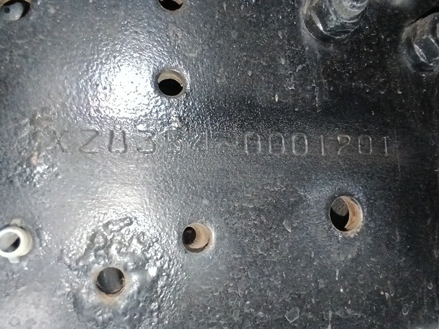 307.jpg
