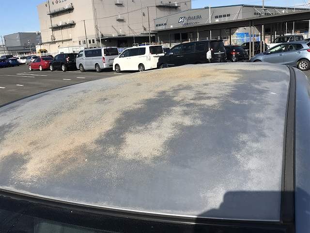288.jpg