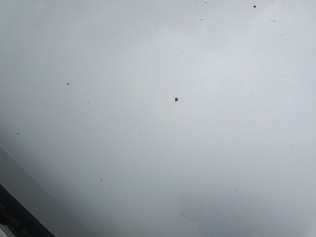 280.jpg