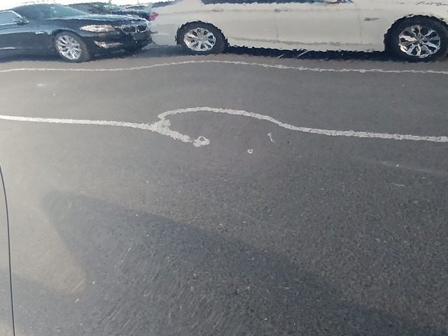 284.jpg