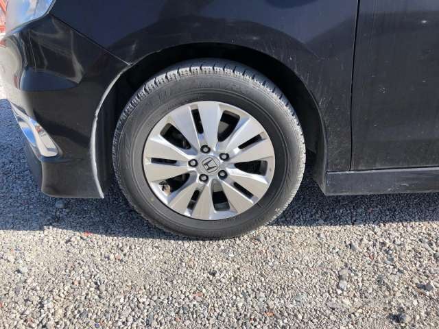 41.jpg