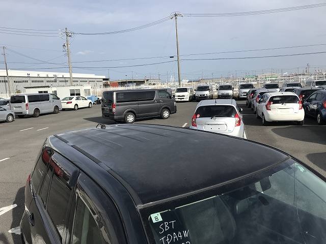282.jpg