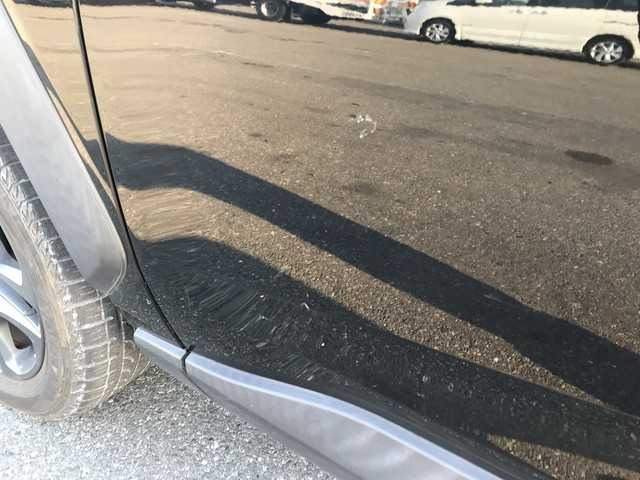 281.jpg