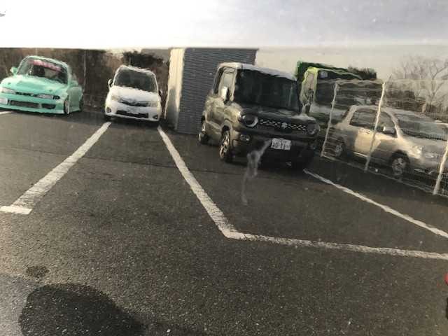 282.jpg