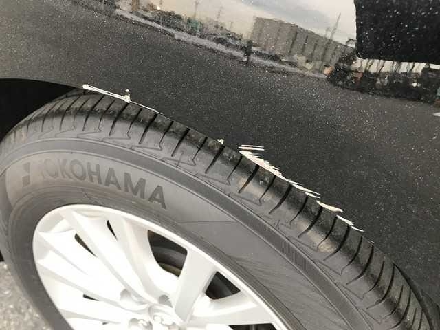 286.jpg