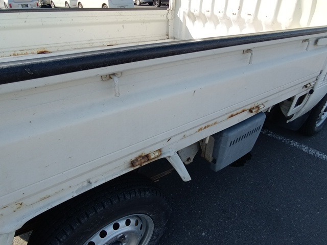 294.jpg