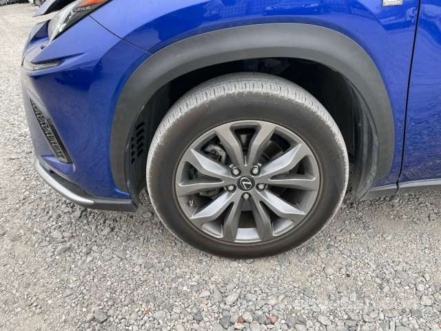 36.jpg