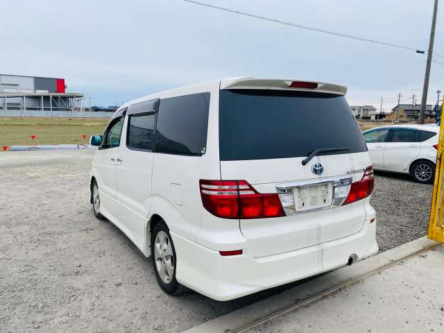 TOYOTA ALPHARD photo 3