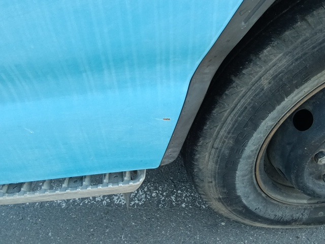 288.jpg