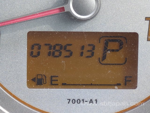 29.jpg