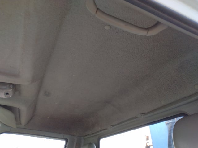 291.jpg