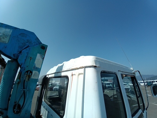 339.jpg