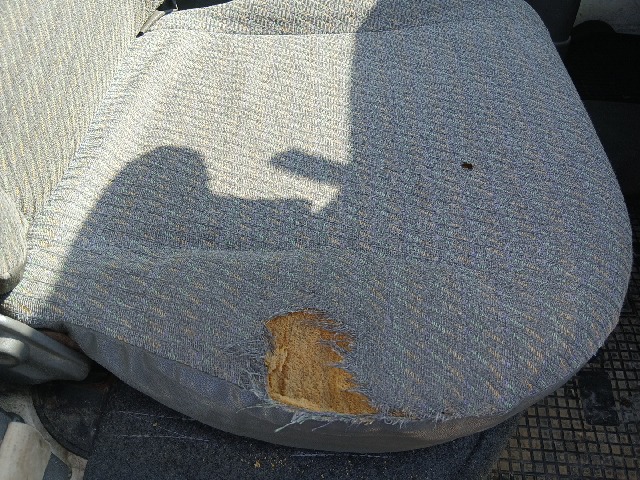 280.jpg