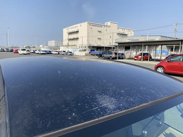 286.jpg