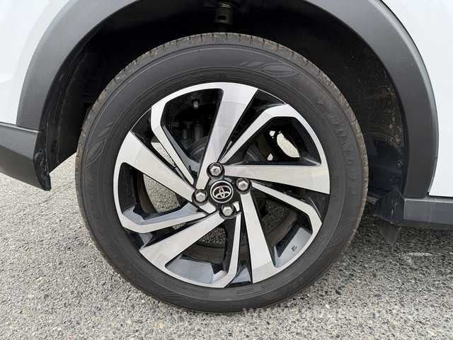 29.jpg
